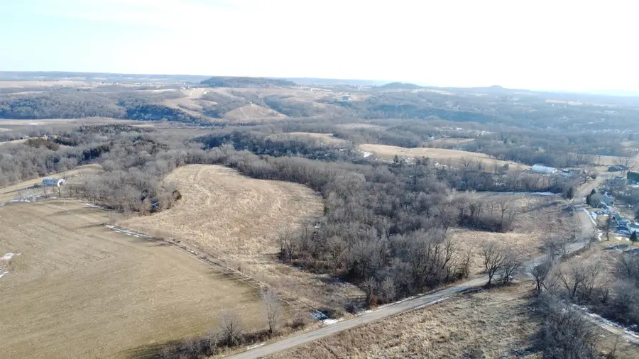 39.61 Acres +/- TBD Donegan Street, Galena, IL 61036 - #2