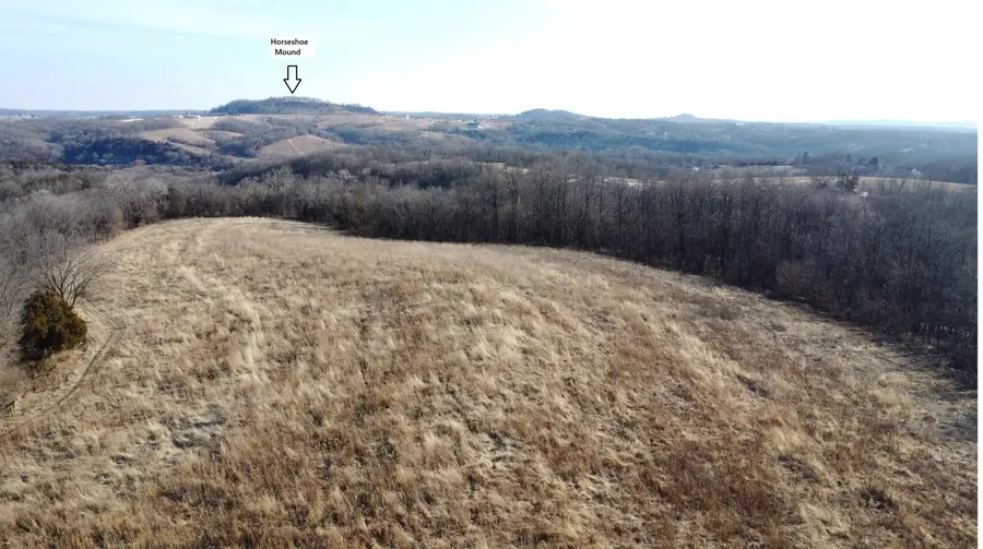 39.61 Acres +/- TBD Donegan Street, Galena, IL 61036 - #3