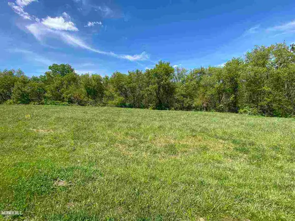 12-245 Birchbark Court, LAKE CARROLL, IL 61046
