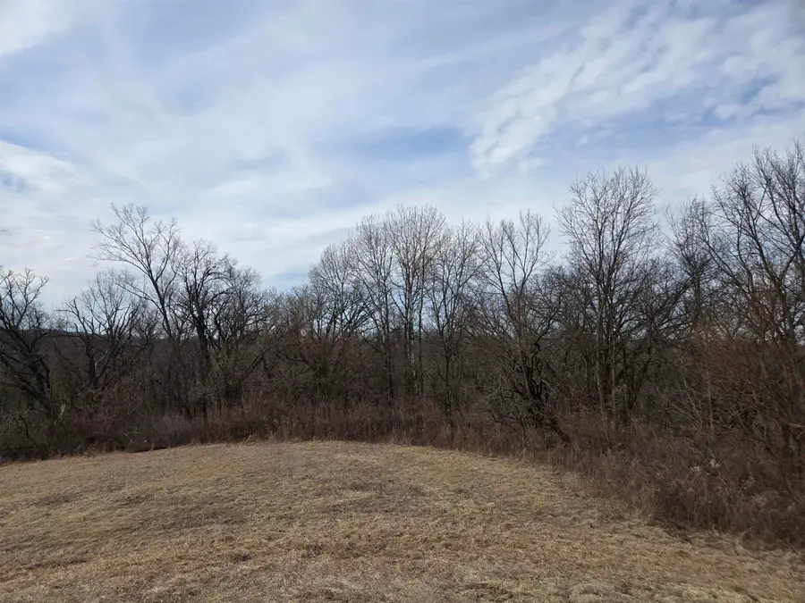 4A34 Stevens Court, Apple River, IL 61001 - #2