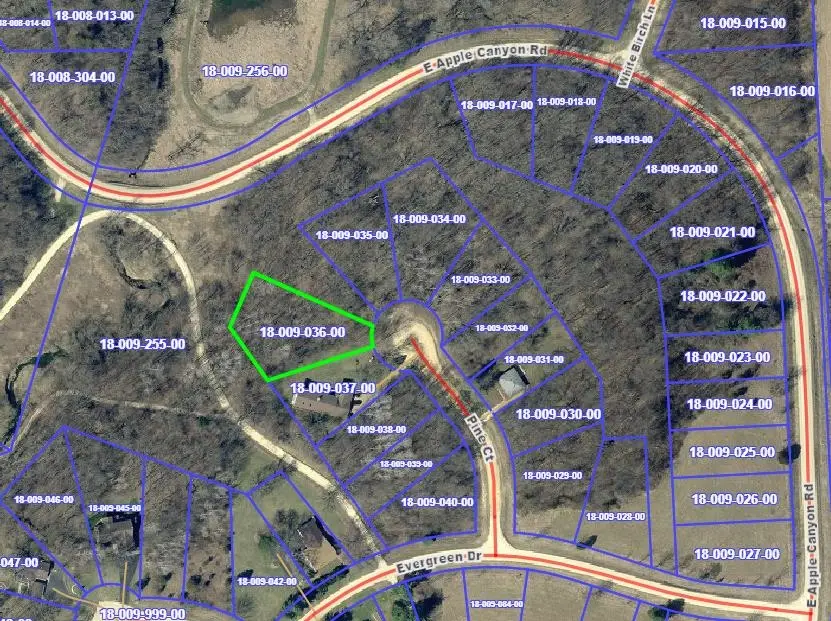 9A36 Pine Court, Apple River, IL 61001 - #2