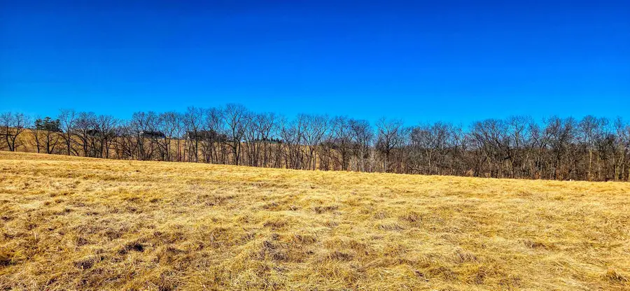 15-3R Lake Carroll Boulevard, Lake Carroll, IL 61046 - #2