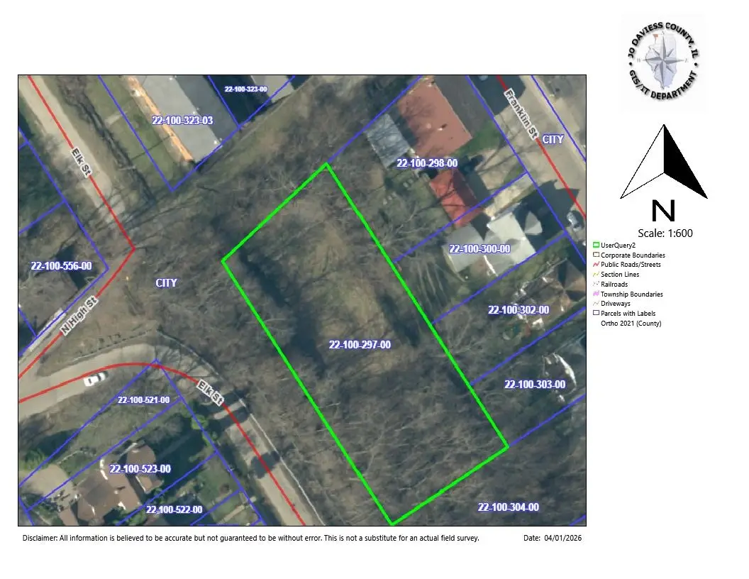 201 N High Street, Galena, IL 61036 - #1