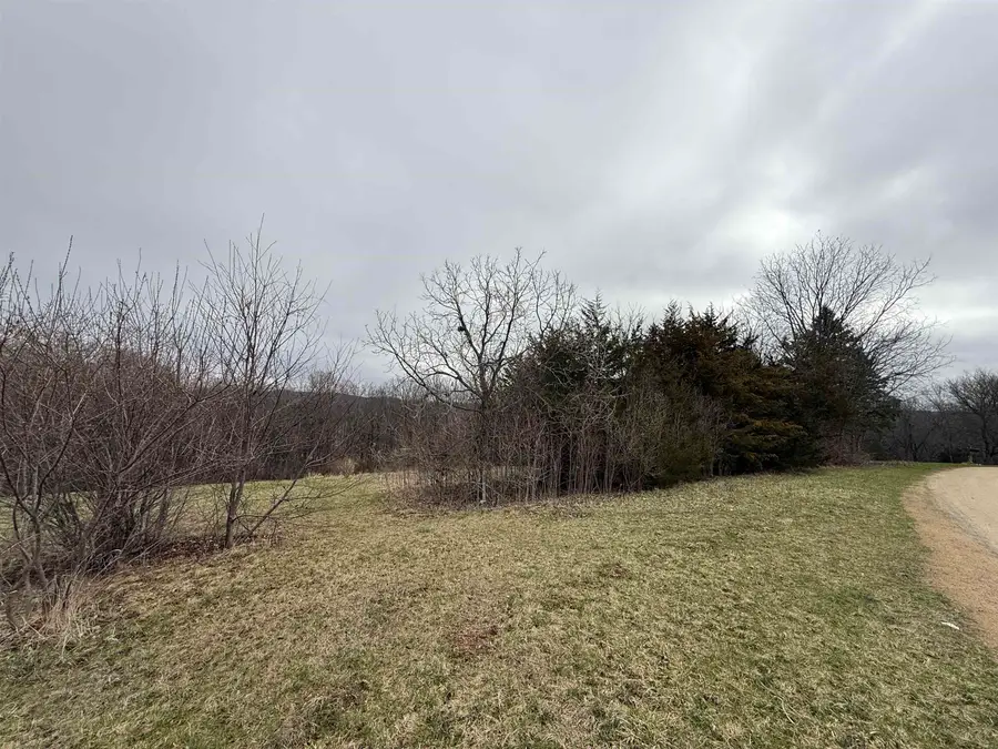 4 Peninsula Drive, Galena, IL 61036 - #3