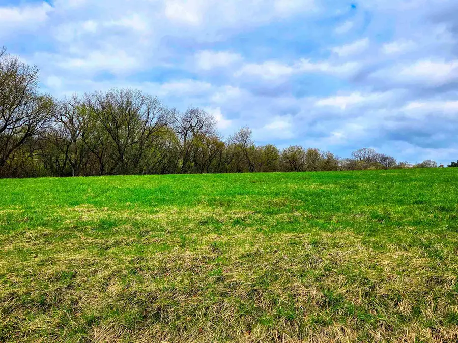 13-73R Lakeview Court, Lake Carroll, IL 61046 - #3