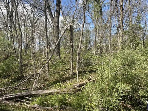 0 Lot 168 Lake Thunderbird Hills, Putnam, IL 61560