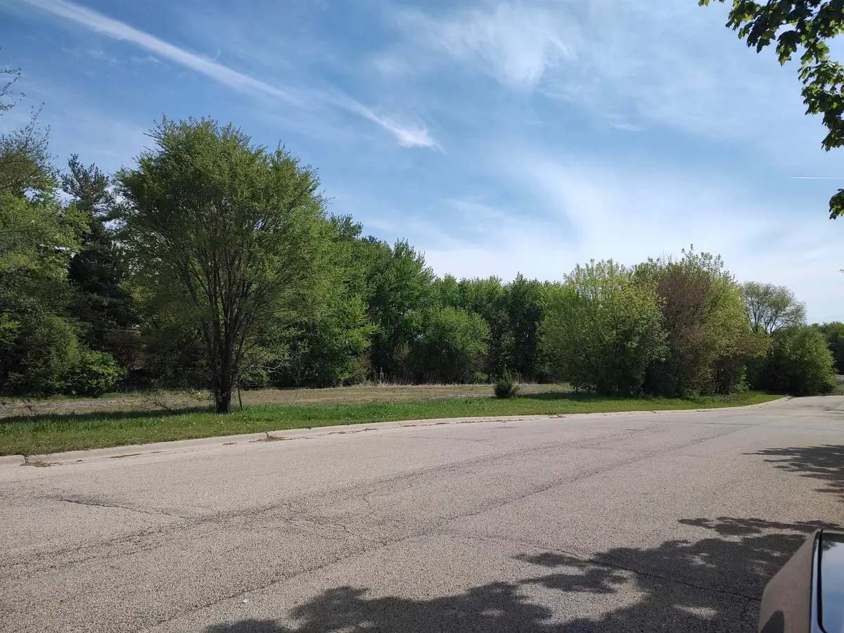 003 E Britnie Drive, Poplar Grove, IL 61065 - #1