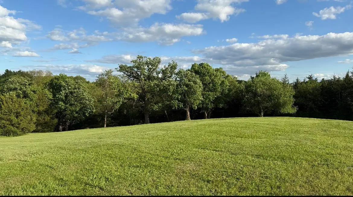 TBD N Mathew Court, Galena, IL 61036 - #1