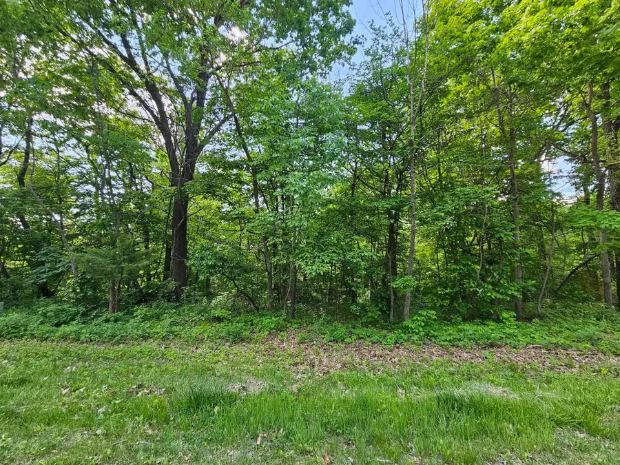 3 Haven Lane Lane, Galena, IL 61036 - #2