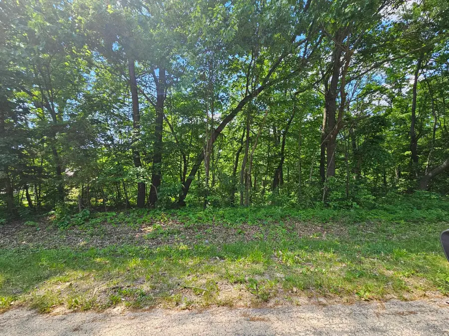 3 Haven Lane Lane, Galena, IL 61036 - #3