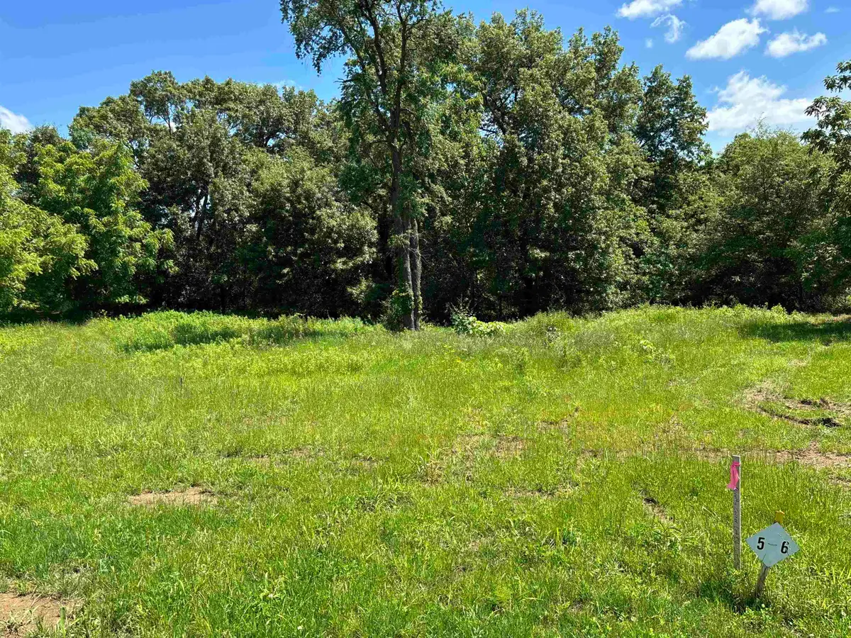 Lot 5 Galena Golf View Estates Phase lll, Galena, IL 61036 - #1