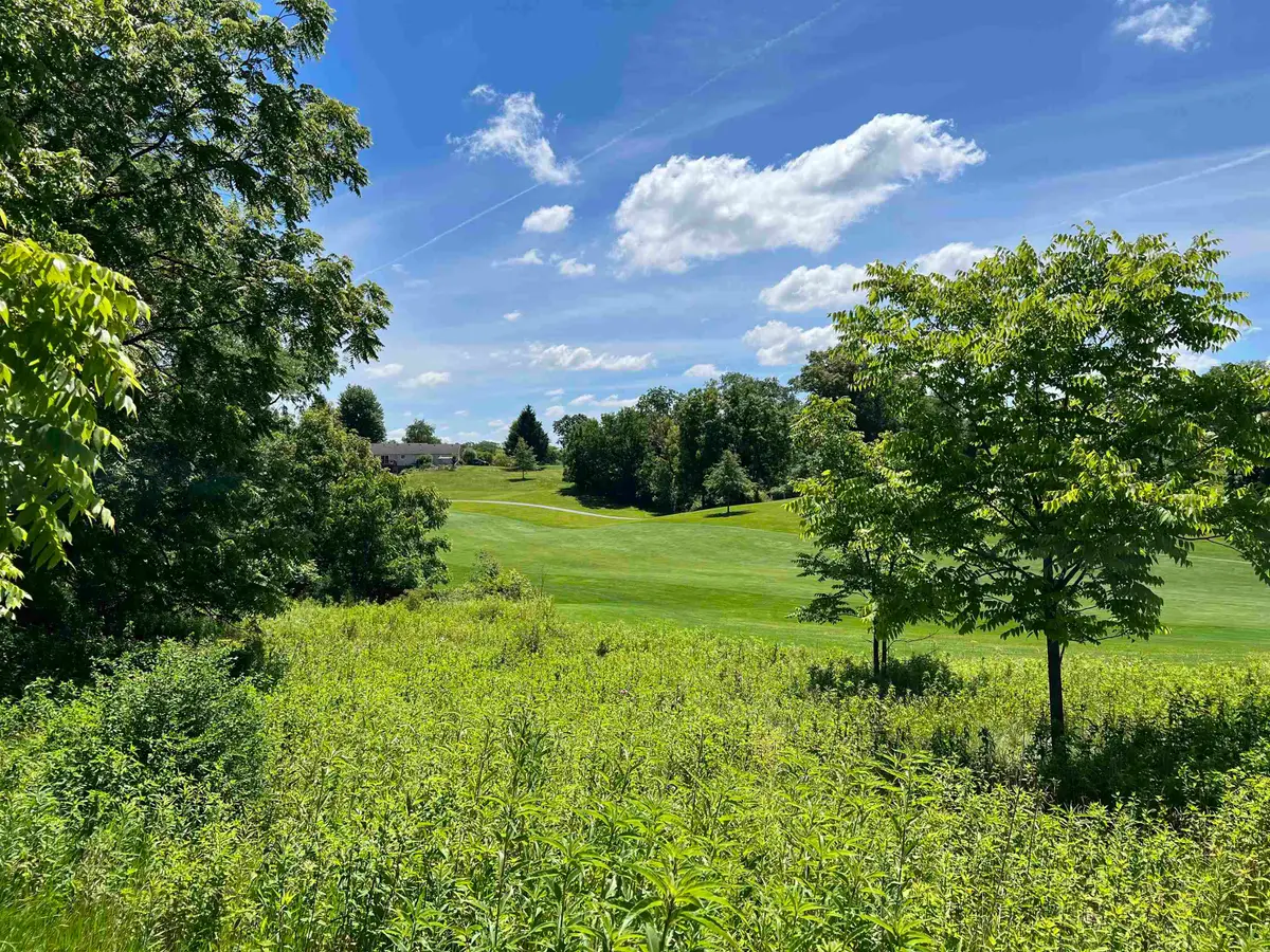 Lot 6 Galena Golf View Estates Phase lll, Galena, IL 61036 - #1
