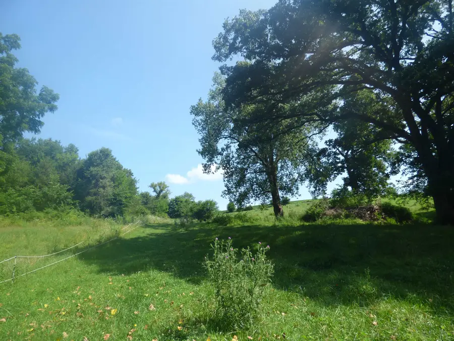 TBD W Valley Road, East Dubuque, IL 61025 - #3