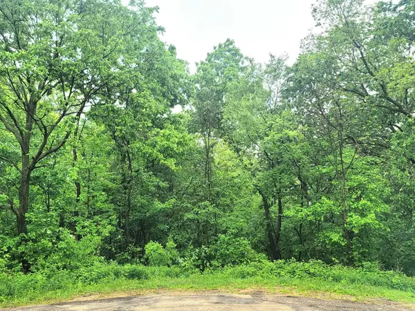 4 Hillside Court, GALENA, IL 61036