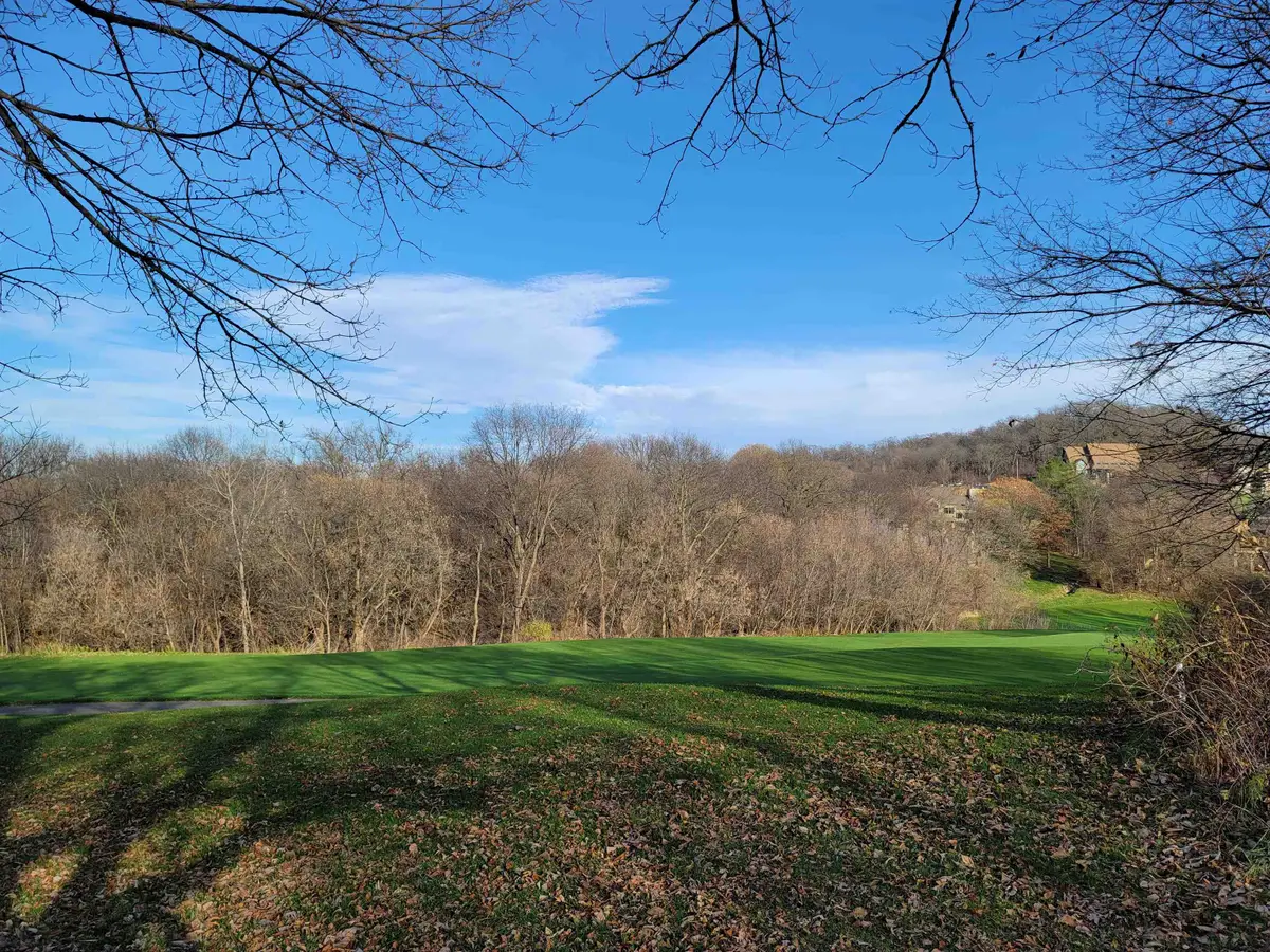 2 Vermilion Lane, Galena, IL 61036 - #1