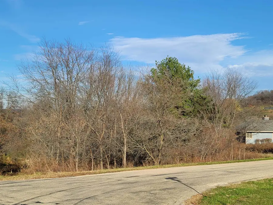 2 Vermilion Lane, Galena, IL 61036 - #3