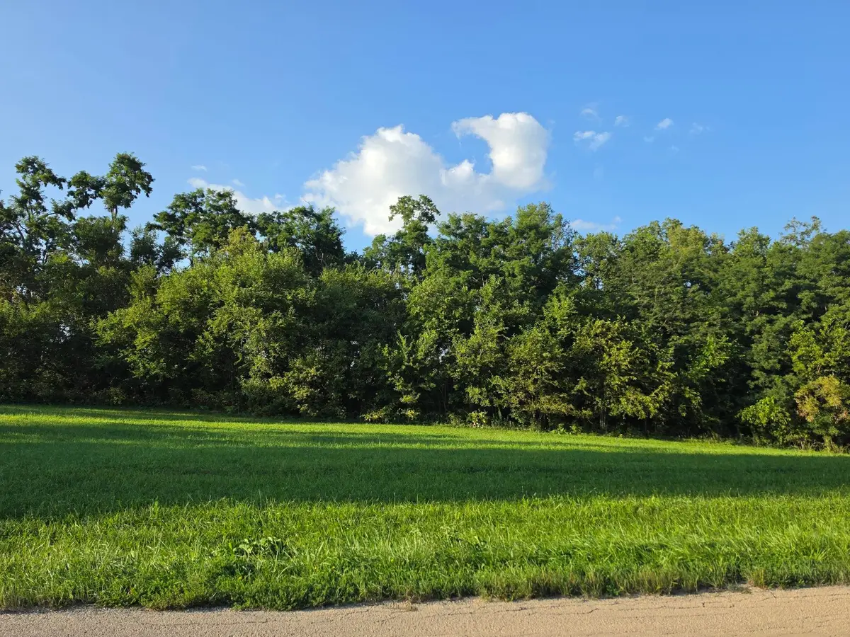 112 W Guilford Road, Galena, IL 61036 - #1