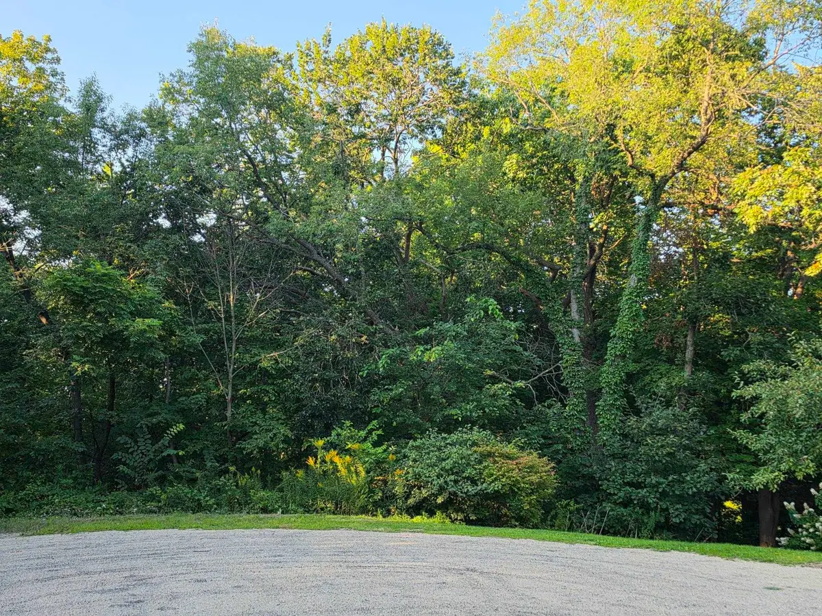 5 Hillside Court, Galena, IL 61036 - #1
