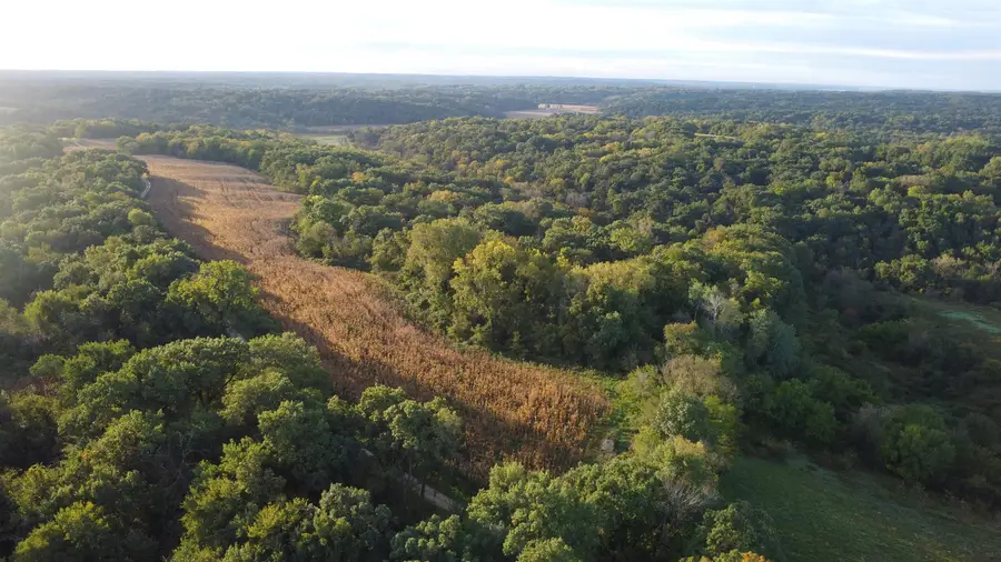 TBD Haas Road, Savanna, IL 61074 - #2