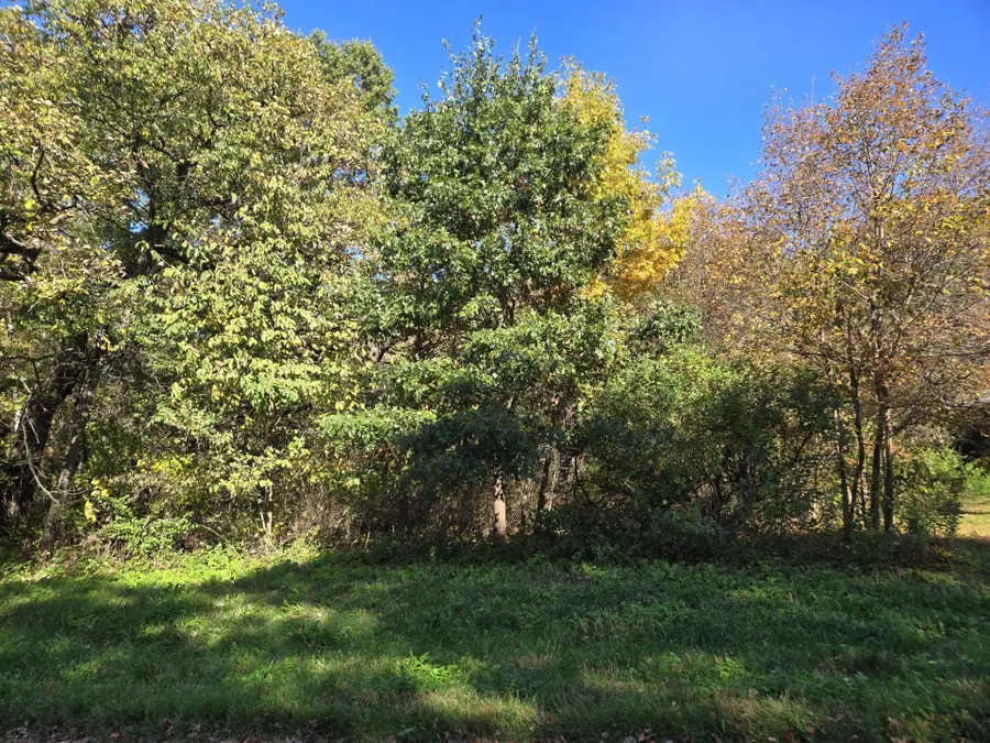 9A32 Pine Court, Apple River, IL 61001 - #3