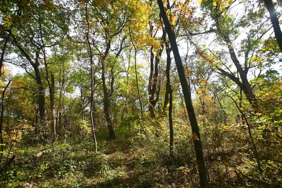 TBD Gamble Hill Road, Hanover, IL 61041 - #2
