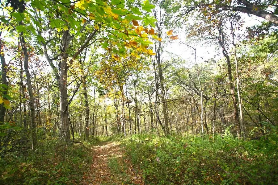 TBD Gamble Hill Road, Hanover, IL 61041 - #3
