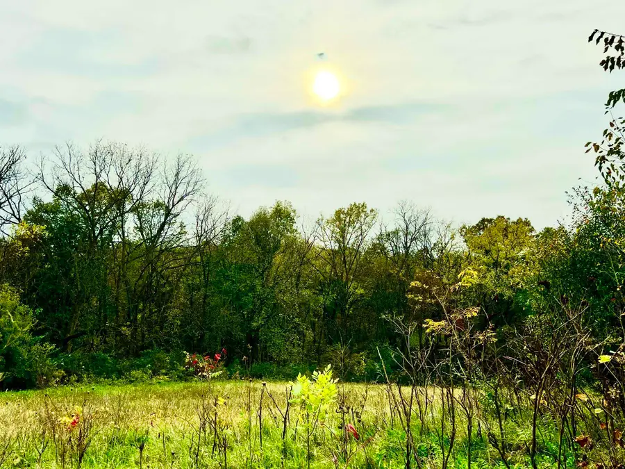 2A34 Hidden Spring Lane, Apple River, IL 61001 - #2