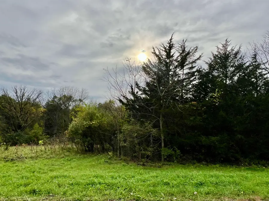 2A34 Hidden Spring Lane, Apple River, IL 61001 - #3