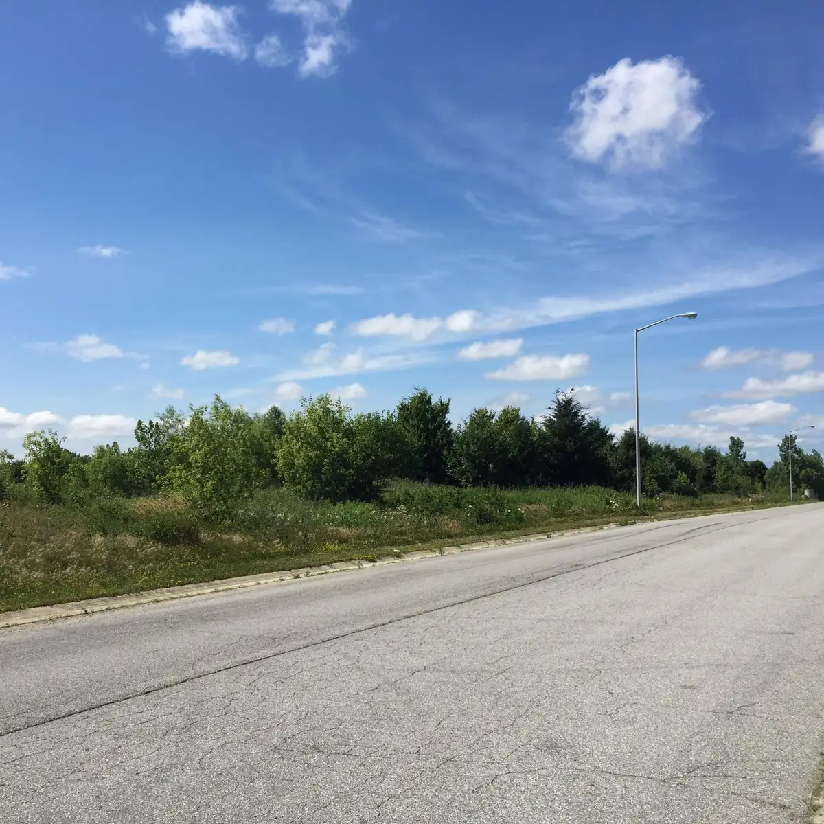 0- Lot 5 Grant Street, Merrillville, IN 46410 - Image #1
