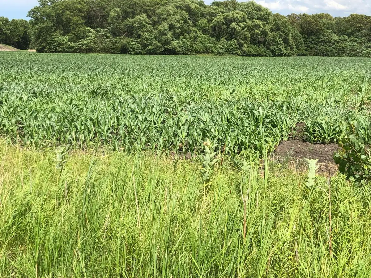 0 St Road 55, Demotte, IN 46310 - Image #1