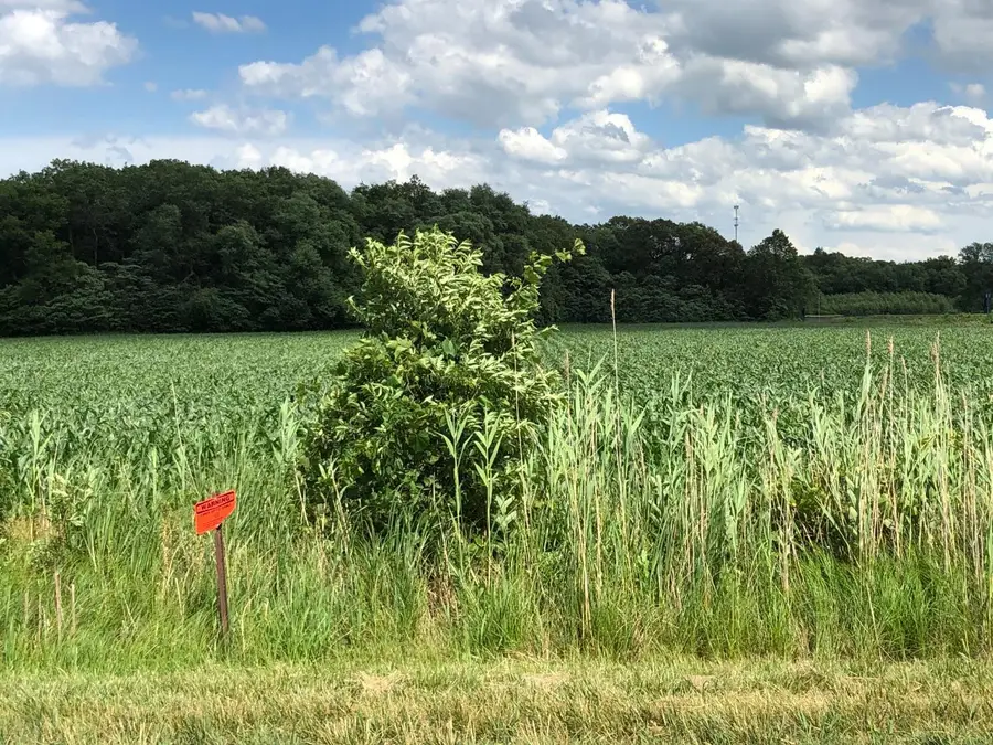 0 St Road 55, Demotte, IN 46310 - Image #2