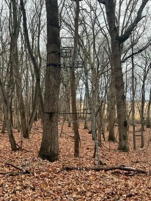 0-Rear Toto Road, Knox, IN 46534 - Image #3