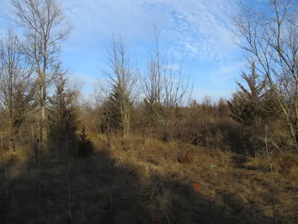 0-Lot 11 Grant Street, Merrillville, IN 46410