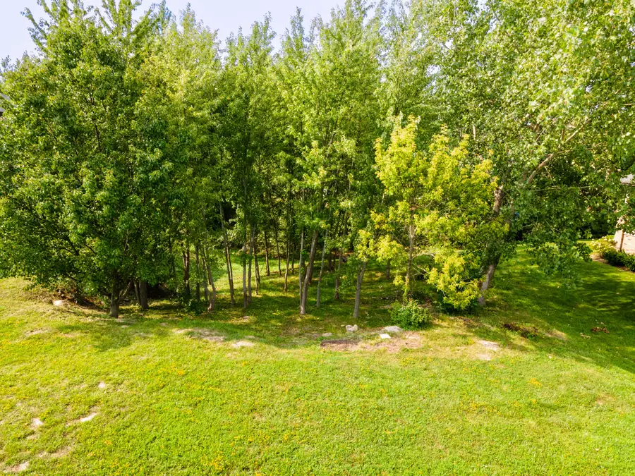 10238 White Water, Saint John, IN 46373 - Image #2