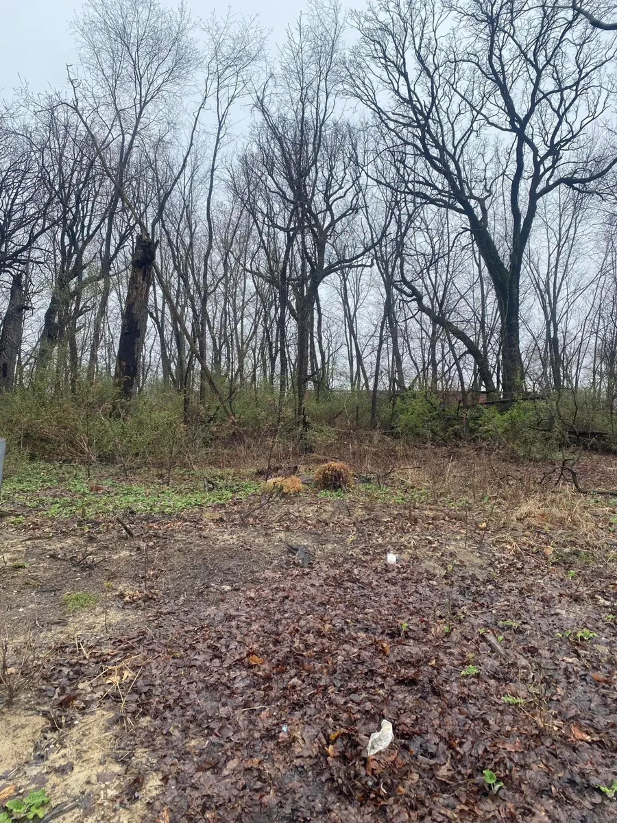 9550 112th Place, Cedar Lake, IN 46303 - Image #3