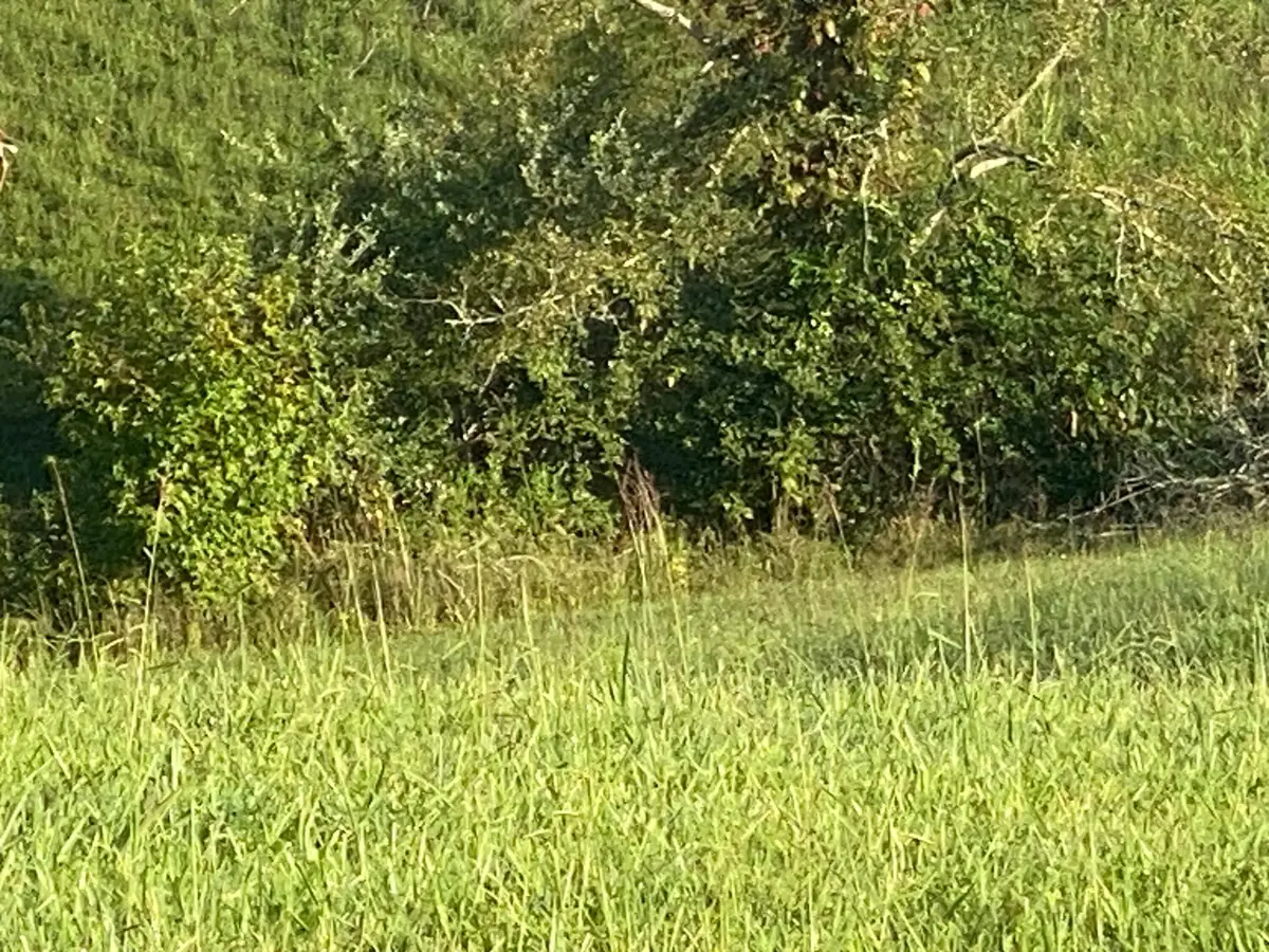 6448 E 114th Place, Crown Point, IN 46307 - Image #1