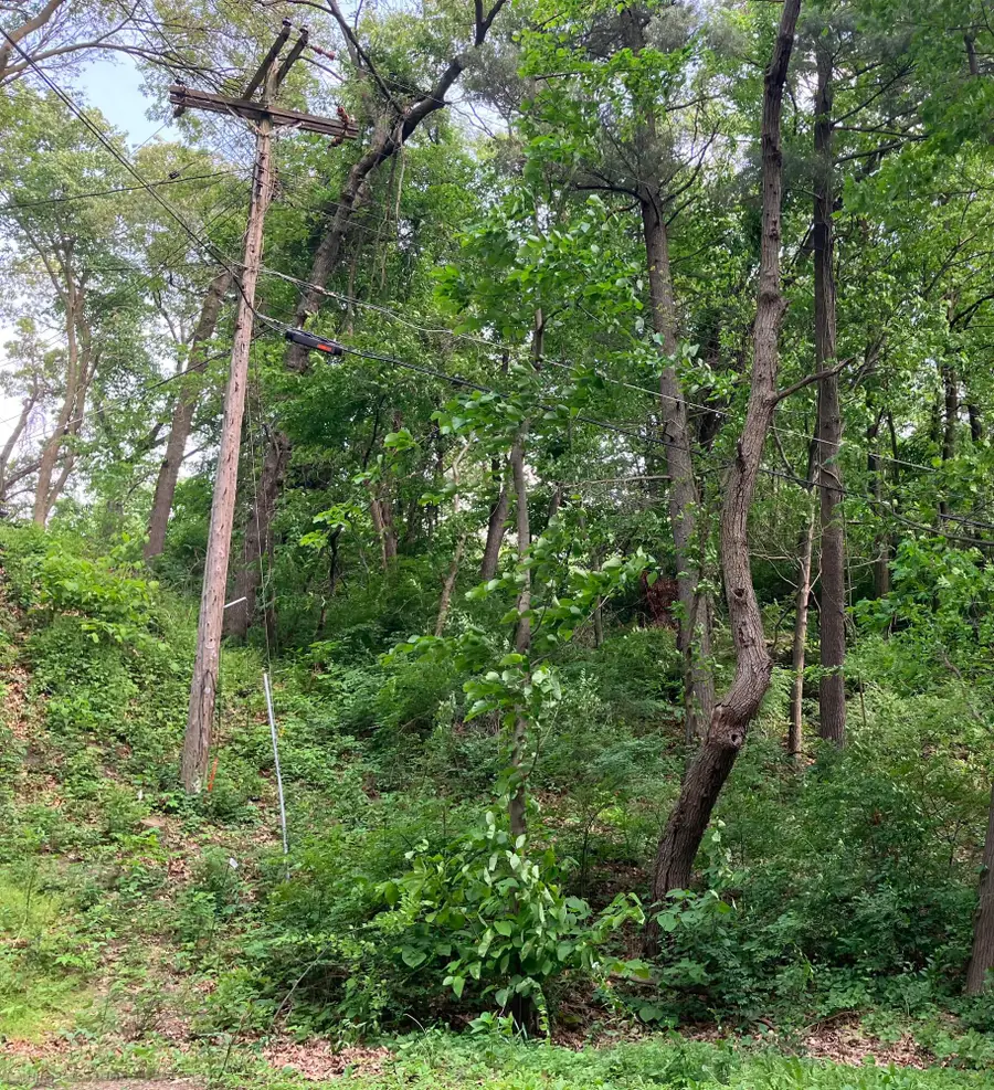 98 Ogden Road, Ogden Dunes, IN 46368 - Image #2