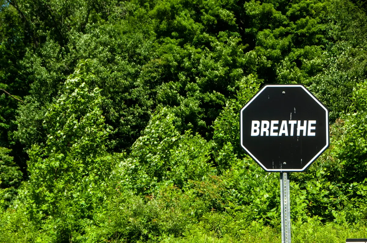 6854 N Nature Lane, La Porte, IN 46350 - #1