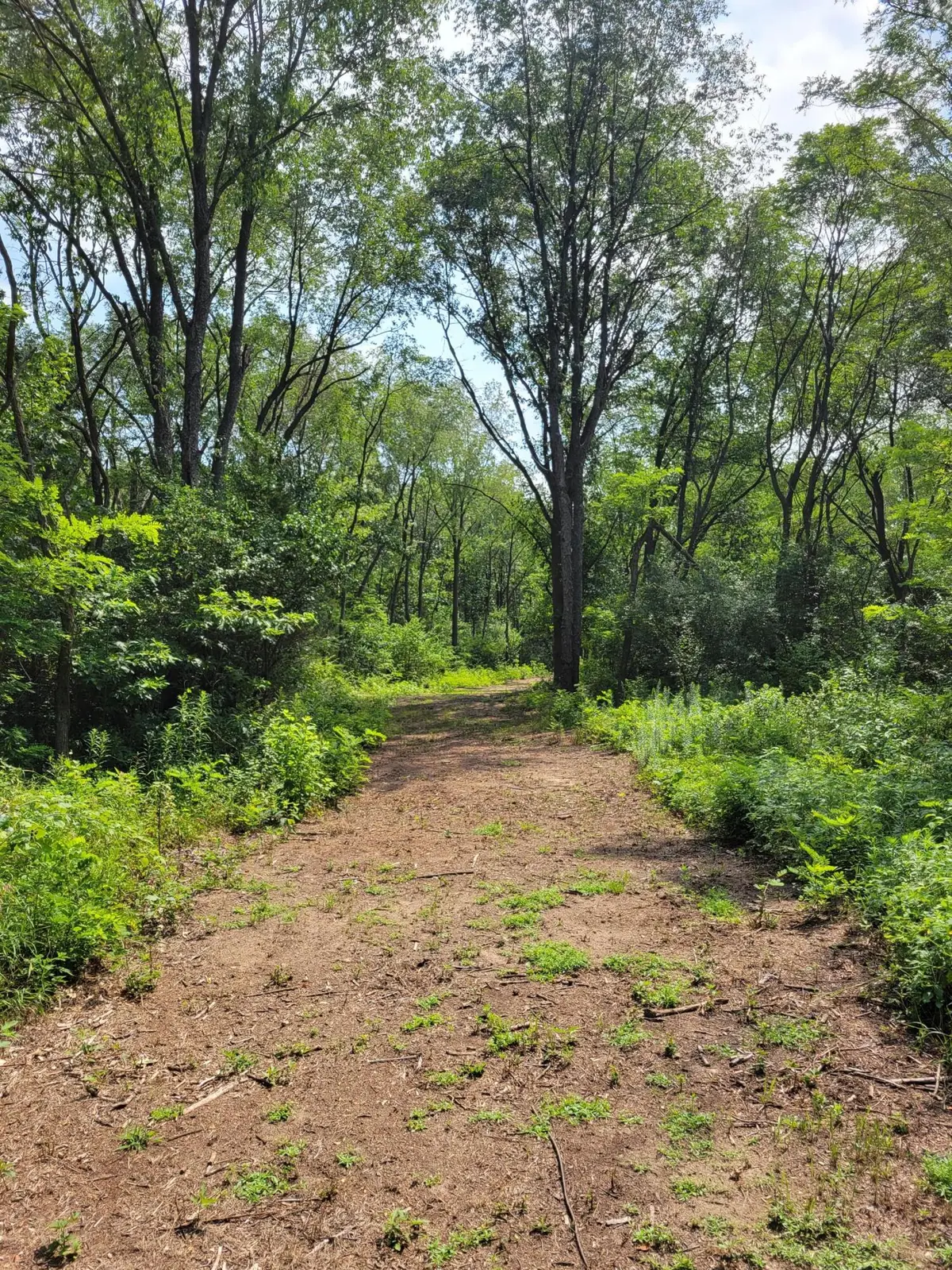 Lot 2 N 100 E, Lake Village, IN 46349 - Image #1