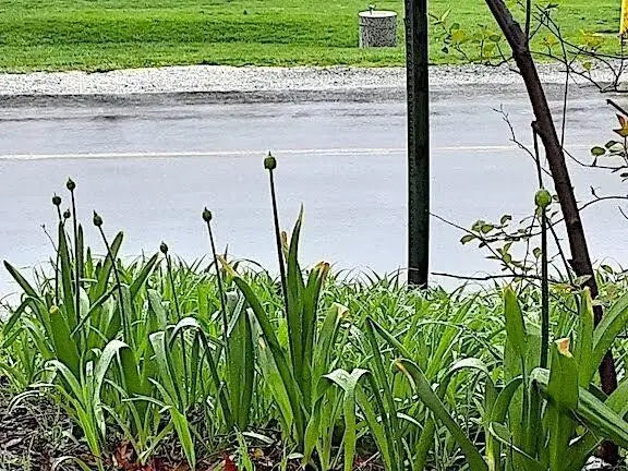 75 Hillcrest Road, Portage, IN 46368 - Image #2