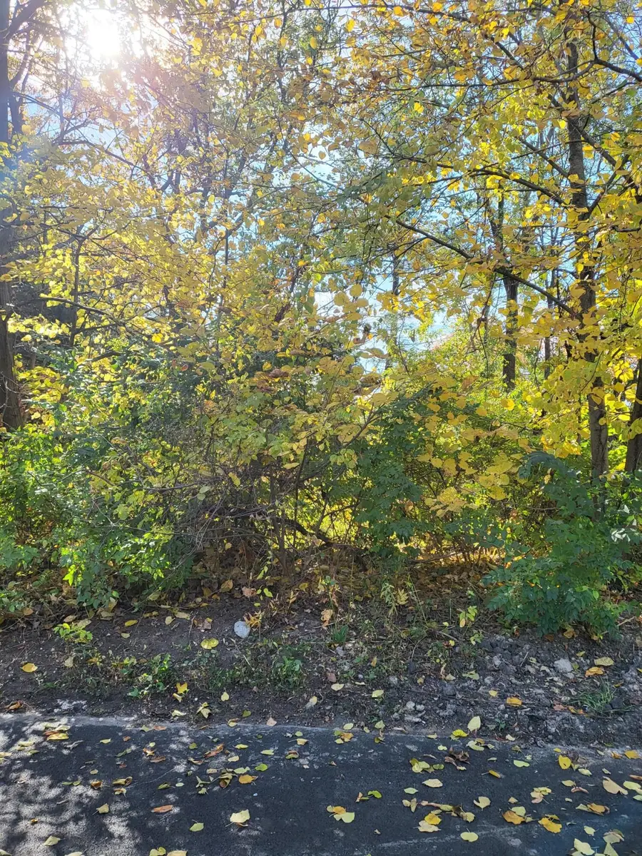 0 Chestnut Court, Ogden Dunes, IN 46368 - Image #2