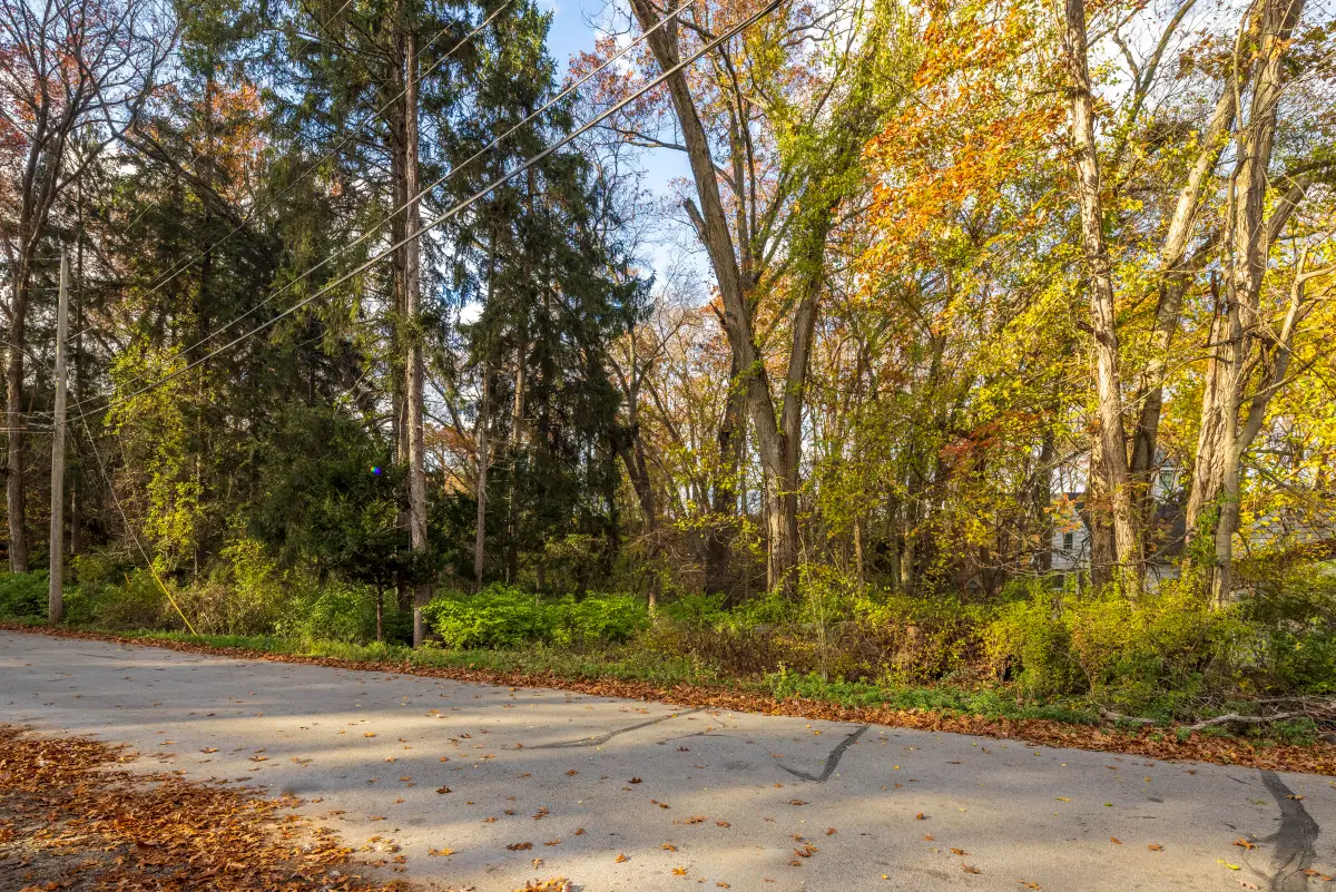 0 Ridge Rd, Long Beach, IN 46360 - Image #1