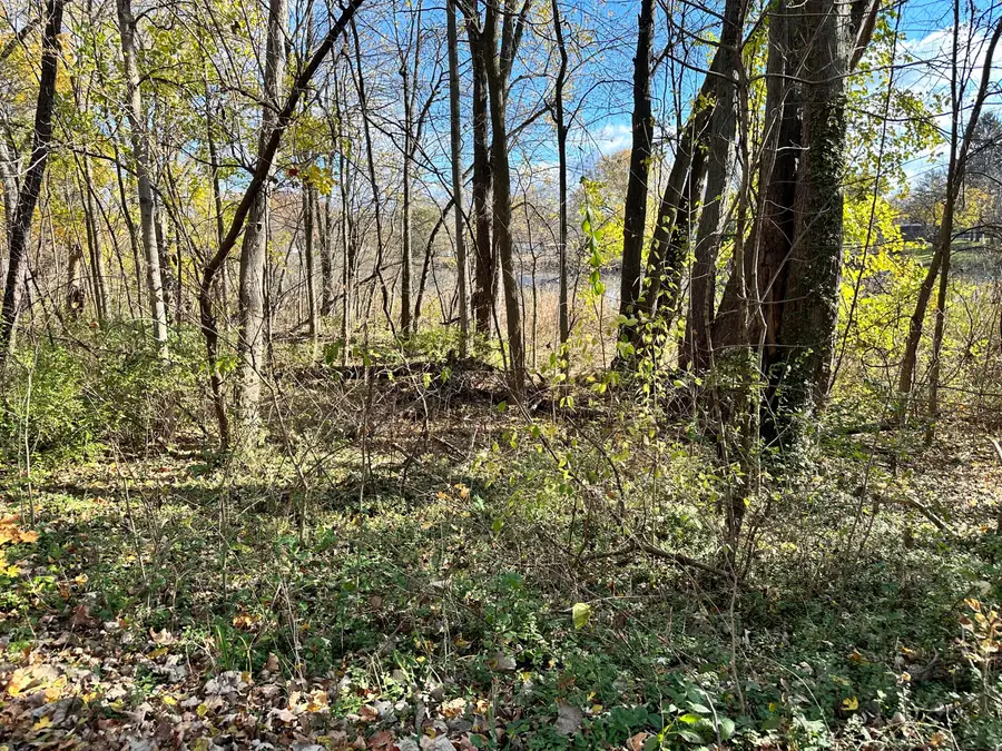 0 N Hudson Boulevard, New Carlisle, IN 46552 - Image #2