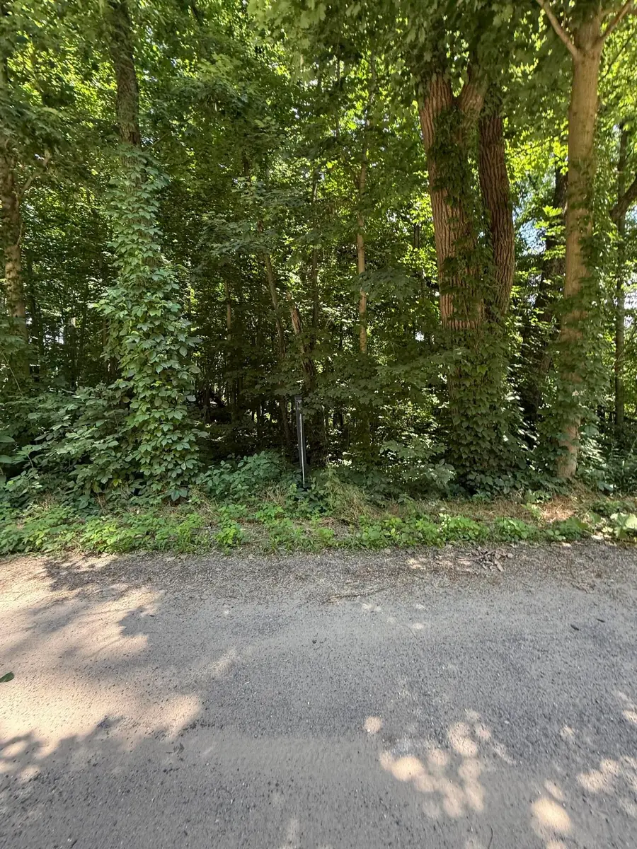 0 N Holling Blvd, New Carlisle, IN 46552 - Image #3