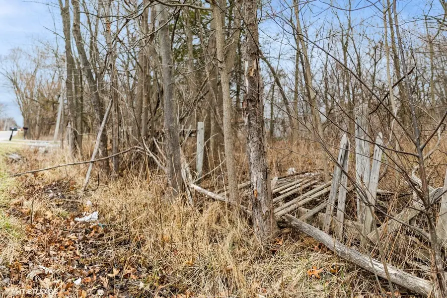 8317 Austin Avenue, Schererville, IN 46375 - Image #3