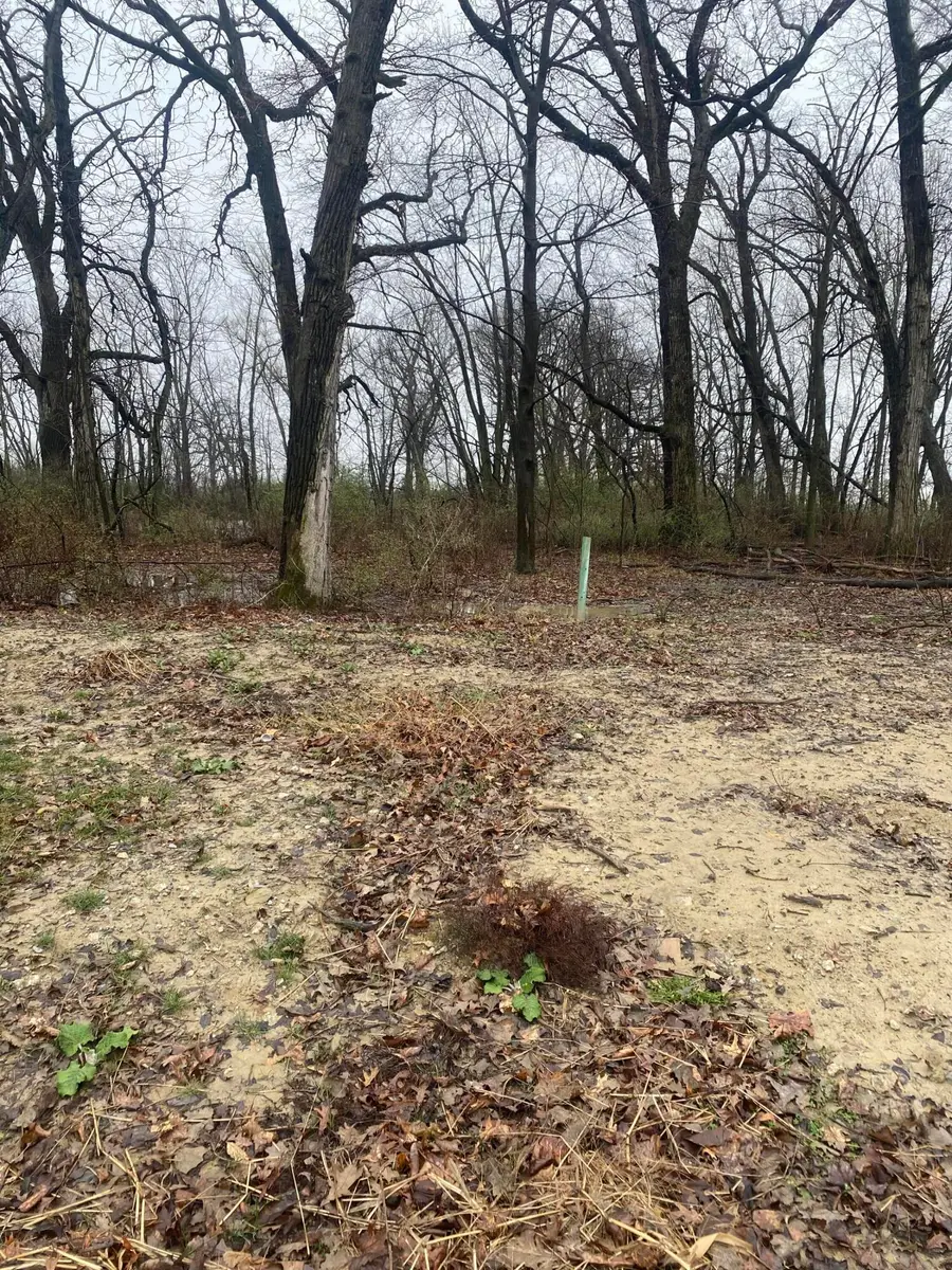 11271 Atherton Street, Cedar Lake, IN 46303 - Image #3