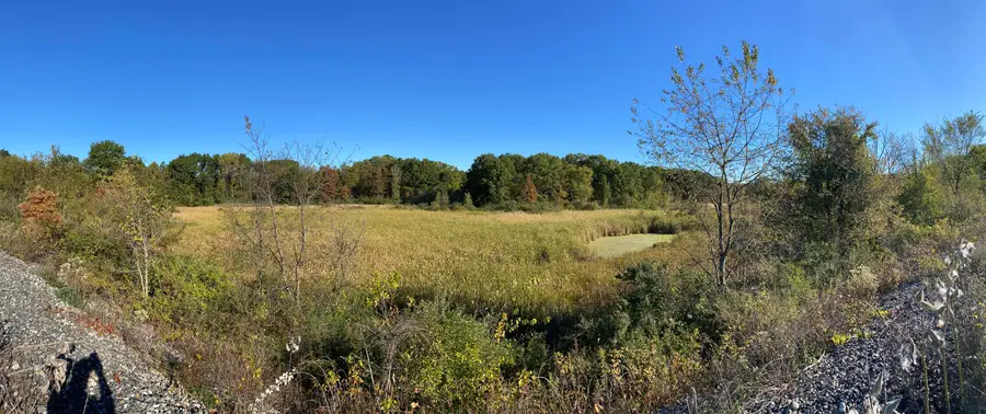 Tbd- 60.04 Creasy Street, Portage, IN 46368 - Image #2