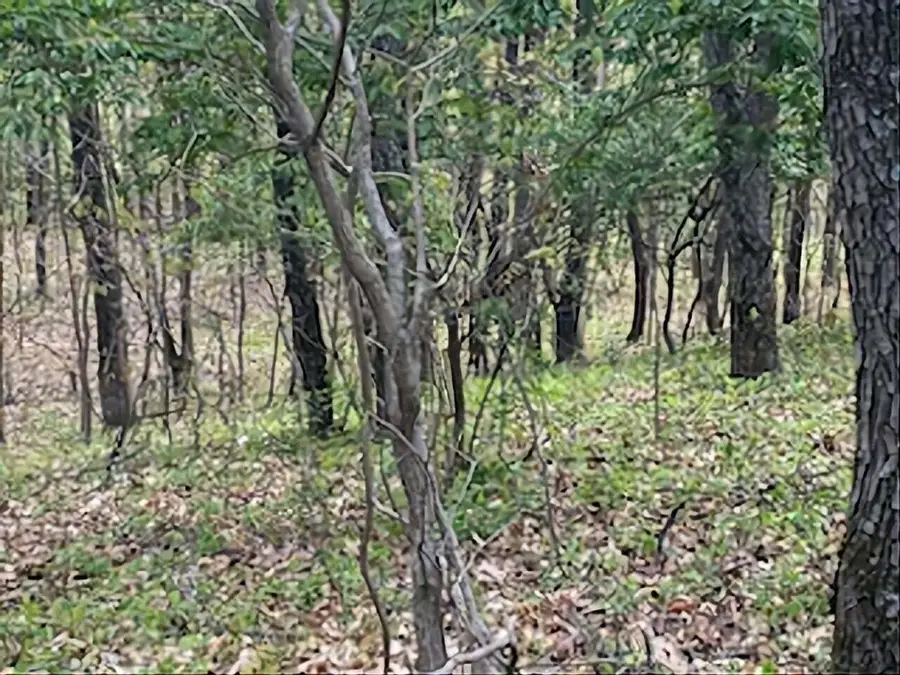 10411 Cynthia Lane, Wheatfield, IN 46392 - Image #2