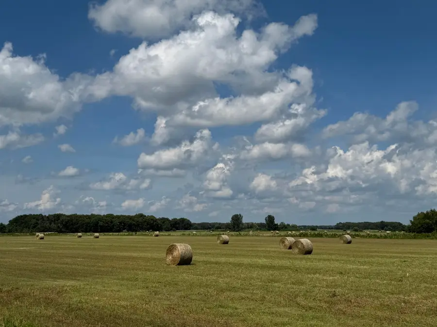 8165 N St Rd 55, Lake Village, IN 46349 - Image #3