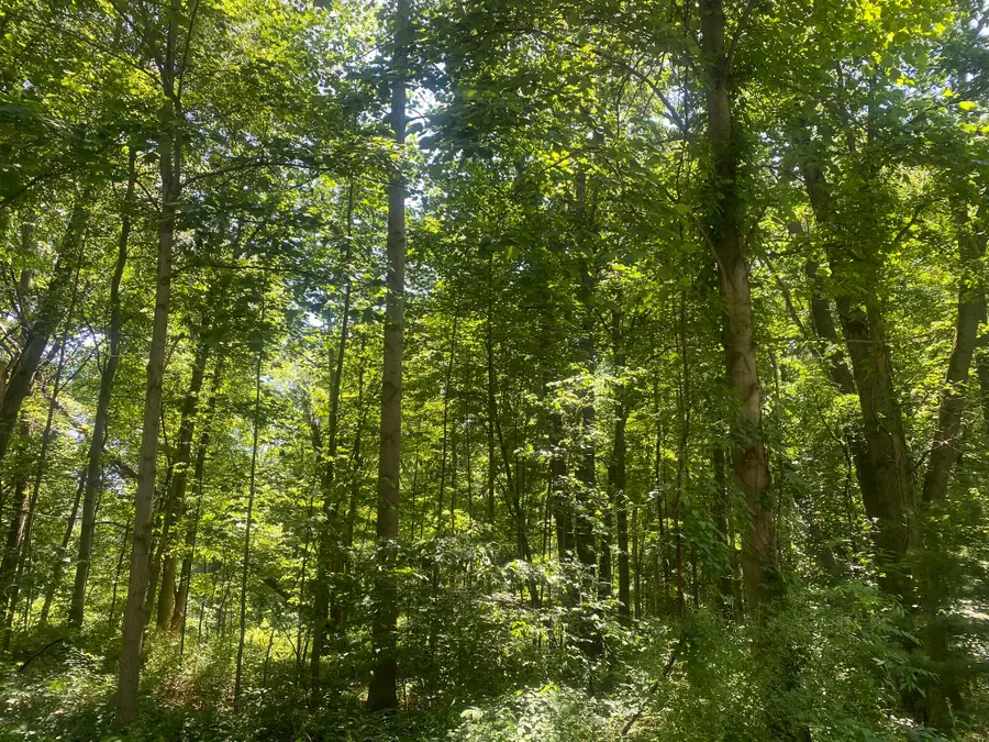 Lots 41-44 Campbell, La Porte, IN 46350 - Image #3